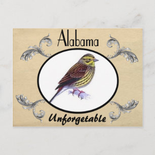 Vintage Old Postcard Alabama State