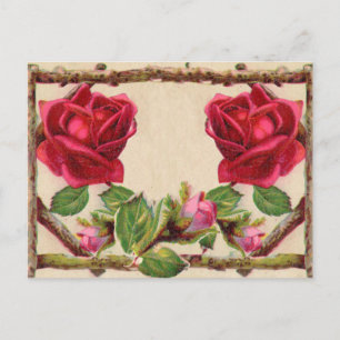 Vintage old rose rustic Victorian Antique Classic Postcard