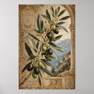 Vintage Olive Branch Mediterranean Wall Art
