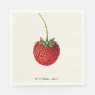Vintage One Red Strawberry Illustration Napkin