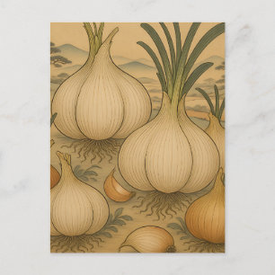 Vintage Onion Botanical Postcard