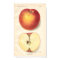 Vintage Opalescent Apple Poster