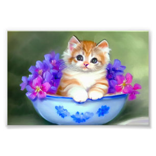 Vintage Orange and White Kitten Illustration Photo Print