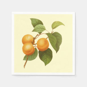Vintage Orange Apricots Watercolor Drawing Napkin