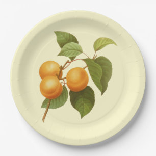 Vintage Orange Apricots Watercolor Drawing Paper Plate