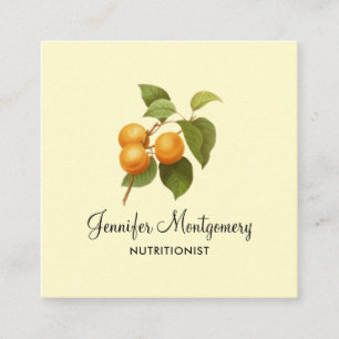 Vintage Orange Apricots Watercolor Drawing Square Business Card