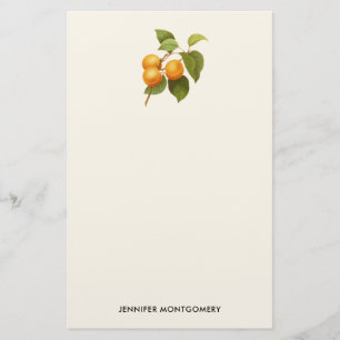 Vintage Orange Apricots Watercolor Drawing Stationery