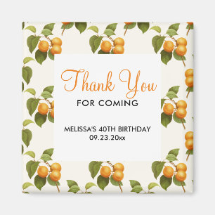 Vintage Orange Apricots Watercolor Thank You Magnet