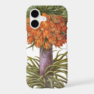 Vintage Orange Fritillaria Flowers Basilius Besler