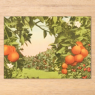 Vintage Orange Grove Acrylic Invitations