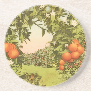 Vintage Orange Grove Coaster