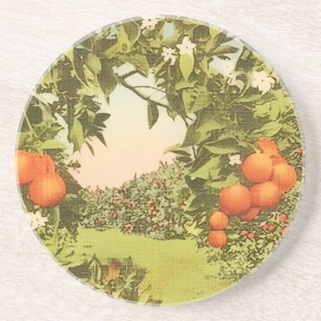 Vintage Orange Grove Coaster (Front)
