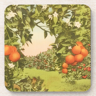Vintage Orange Grove Coaster