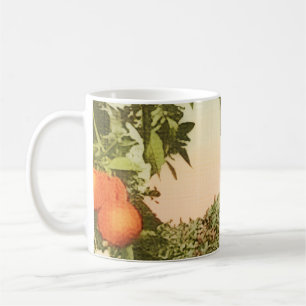 Vintage Orange Grove Coffee Mug