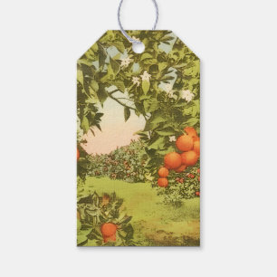 Vintage Orange Grove Gift Tags