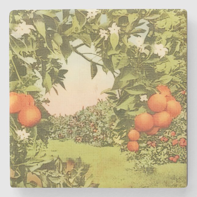 Vintage Orange Grove Stone Coaster (Front)