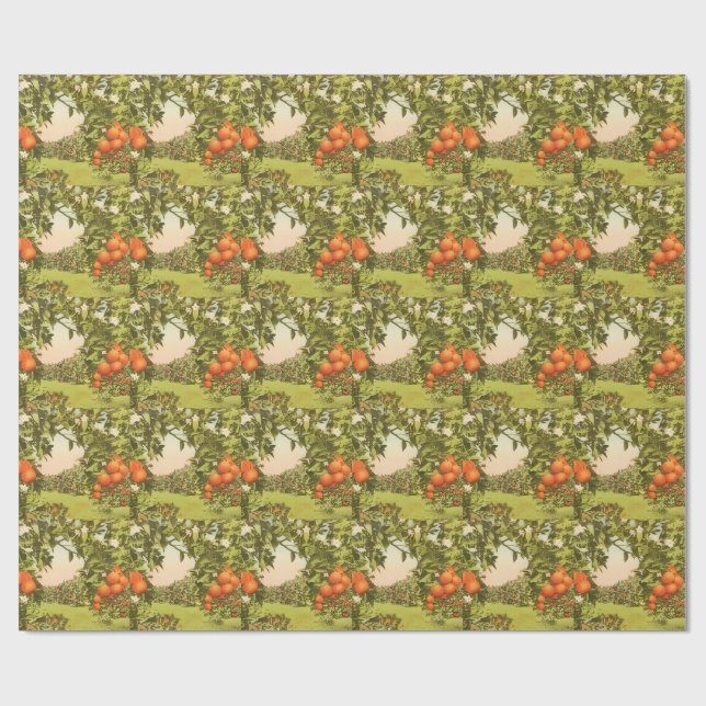 Vintage Orange Grove Wrapping Paper (Flat)