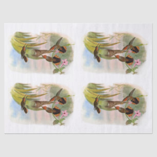 Vintage Orange Saw Bill Hummingbird Decoupage Tissue Paper