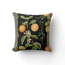 Vintage Oranges and Lemons with Neutral Accent