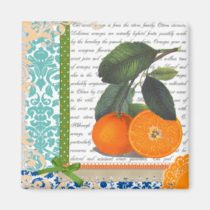 Vintage Oranges Collage Magnet