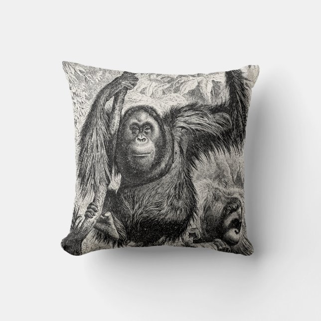 Vintage Orangutan Illustration - 1800's Monkey Cushion (Front)