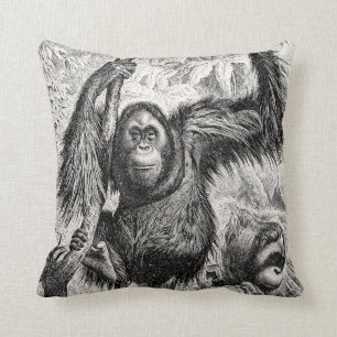 Vintage Orangutan Illustration - 1800's Monkey Cushion