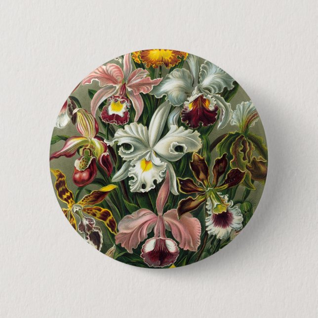 Vintage Orchids 6 Cm Round Badge (Front)