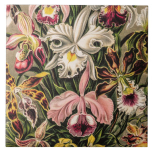 Vintage Orchids Flower by Ernst Haeckel Ceramic Tile