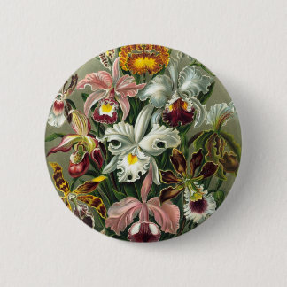 Vintage Orchids Illustration 6 Cm Round Badge