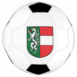 Vintage Österreich Steiermark Fürstenfeld Wappen Soccer Ball