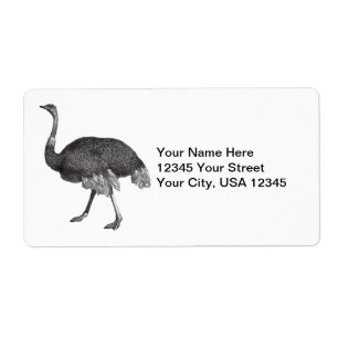 Vintage Ostrich