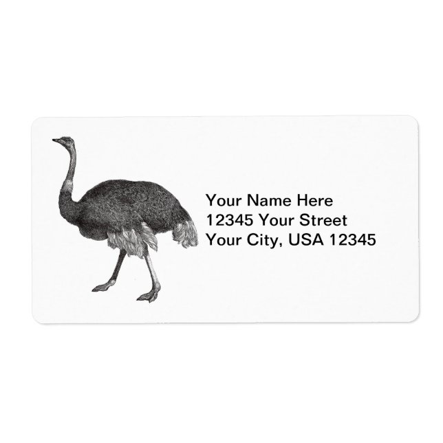 Vintage Ostrich (Front)