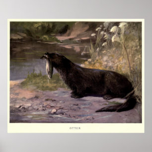 Vintage Otter Painting (1909) Poster