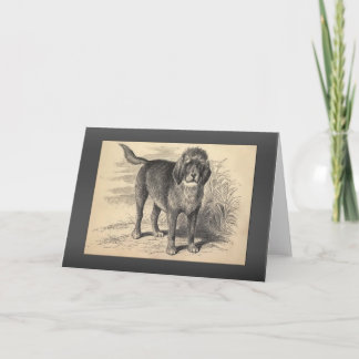 Vintage Otterhound Greetings Card