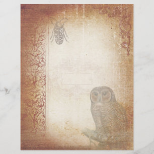 Vintage Owl and Beetle Aged Scrapbook Paper