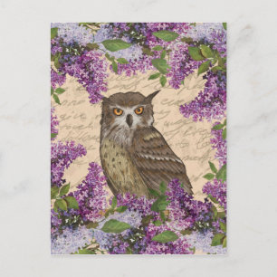 Vintage owl and lilac postcard