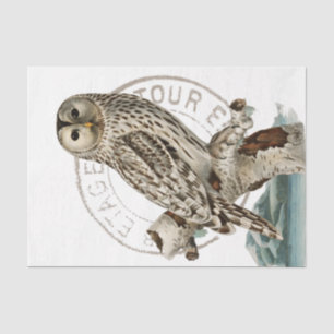 Vintage Owl Bird Tree Decoupage French Postmark  Tissue Paper