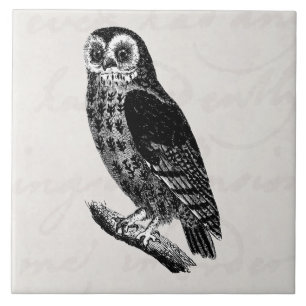 Vintage Owl Drawing Retro Birds Owls Tile