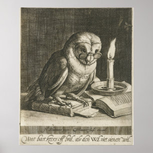 Vintage Owl Illustration Poster