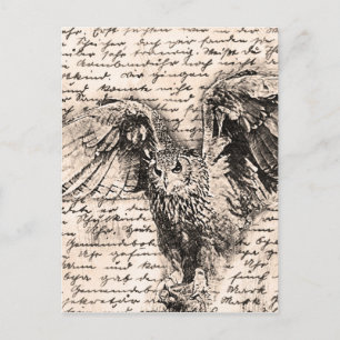 Vintage owl postcard