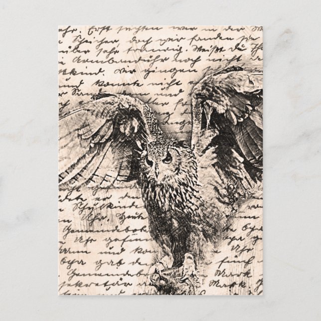 Vintage owl postcard (Front)