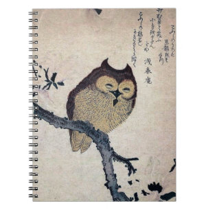 Vintage Owl Spiral Notebook