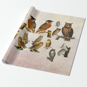 Vintage Owls Birds Wildlife animals Art Collage Wrapping Paper