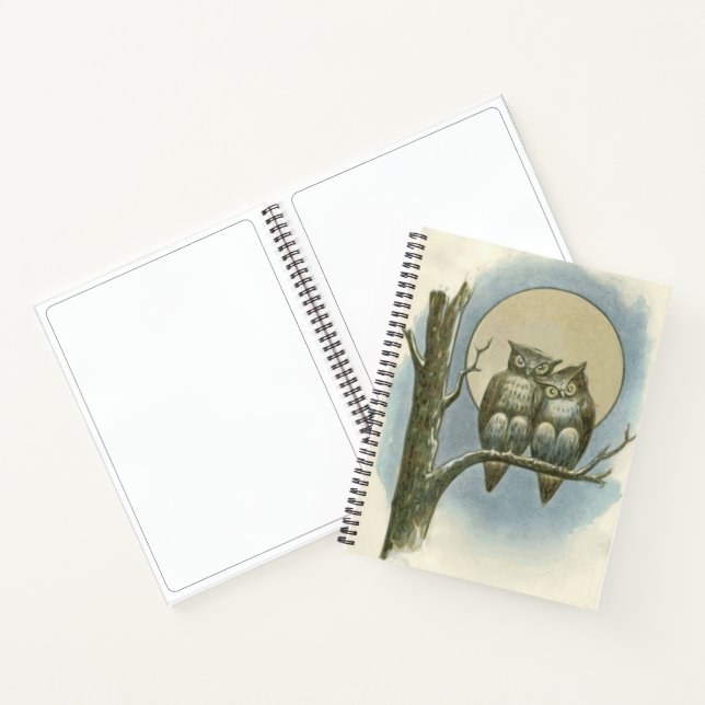 Vintage owls illustration notebook (Inside)