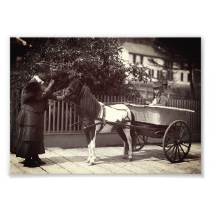 Vintage Paint Pony Cart in Juneau, Alaska Photo Print