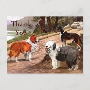 Vintage Painted Collies Postcard