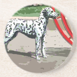 Vintage Painted Dalmatian Sandstone Coaster