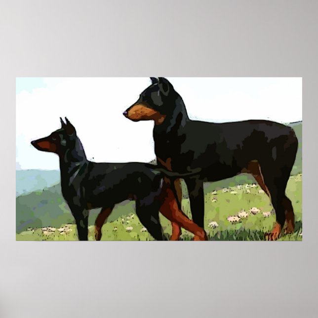 Vintage Painted Doberman Pincher Poster (Front)