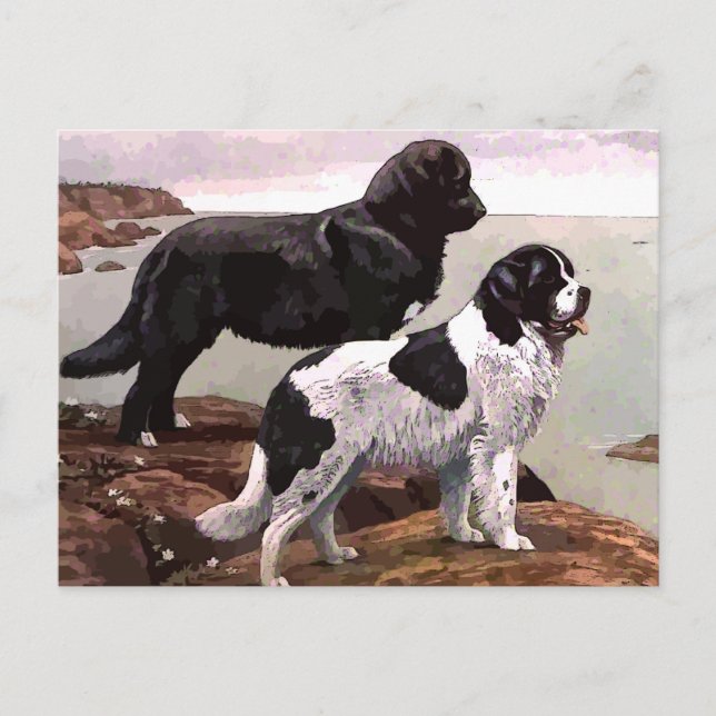 vintage painted newfoundlands postcard (Front)