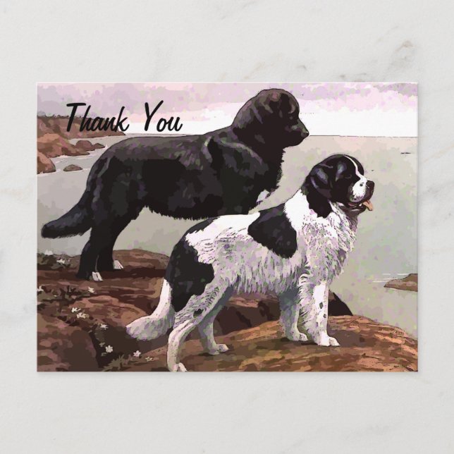 vintage painted newfoundlands thank you postcard (Front)